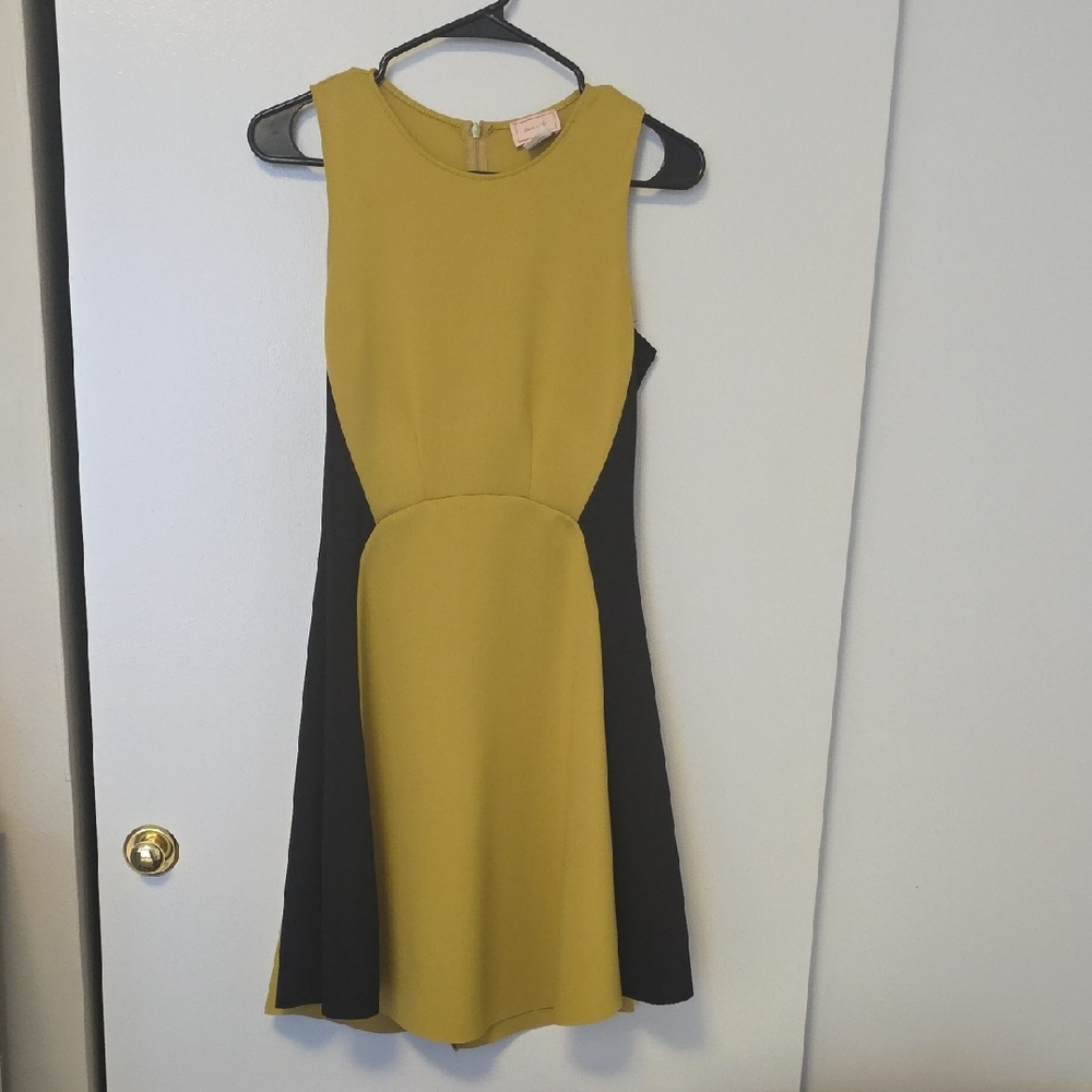 love...ady Mustard and Black Mini Dress